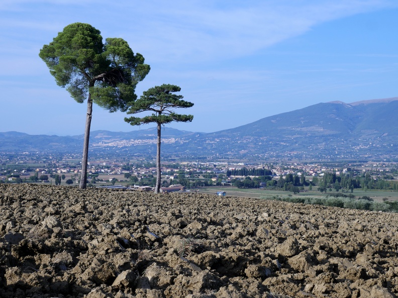 02Ombrie180913CastelBuono.JPG