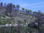 03Gargano180918ForestaUmbra