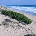 05Salento181014