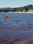 11CalabreP1030550