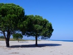 11CalabreP1040260