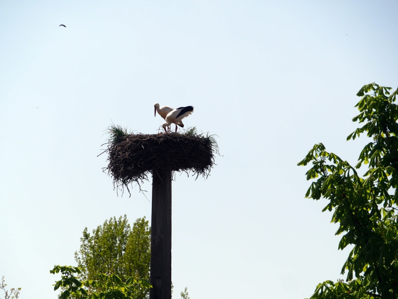 J2 Forstfeld, Alsace, France, à la frontière avec l'Allemagne Day002.JPG