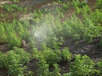 2017 Cap Sud 15 (1552 visits) Chefchaouen, capitale du Rif et du cannabis; belle ballade en direction du Mont El-Kelaa à fouler a... 2017 Cap Sud 15