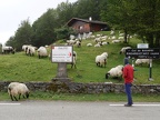 yJuillet15aColdeBagargiA