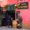 Flamenco01a