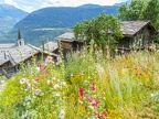 2020 Suisse, Valais, Bisses 10