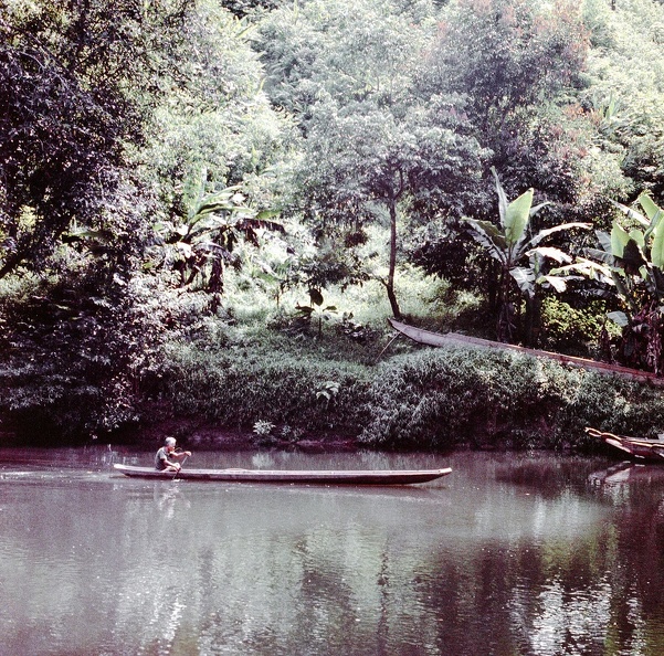 Malaisie, Sarawak en pirogue à moteur à la découverte des tribus Dayak et Iban M112.jpg