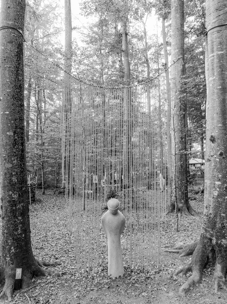 Oeuvre de Eddy Juillerat, artiste autodidacte dans le domaine pictural et audiovisuel ChassImagesDéfiMouvement07bis.jpg