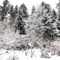 APictureADay2021-007b