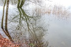 APictureADay2021-015f