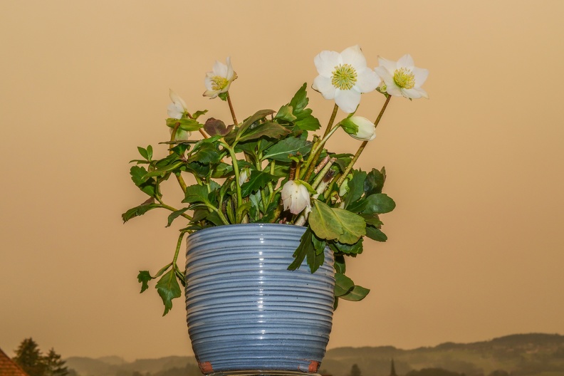 APictureADay2021-140.jpg