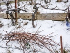 APictureADay2021-027e
