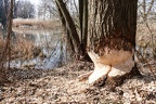 APictureADay2021-036b