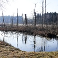 APictureADay2021-038a