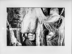 APictureADay2021-039i (3997 visits) APictureADay2021-039i