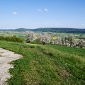 016-Hallau01