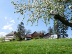 017-Hallau03