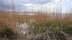 APictureADay2021-066-5