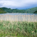 APictureADay2021-074-5