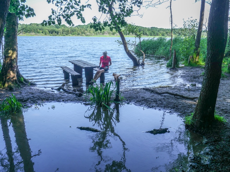 APictureADay20210717-083-2.jpg