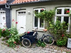 2021 Danemark 12