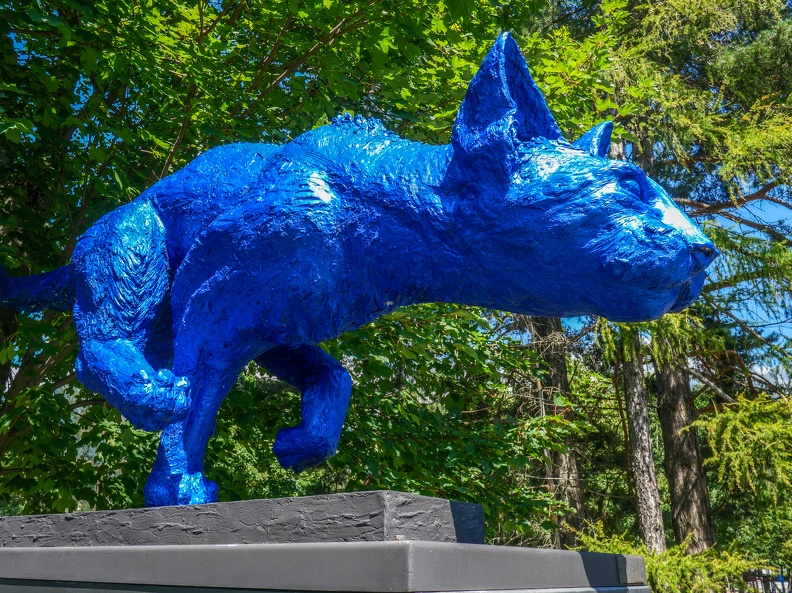 Gatto blu, 2012/2015, Sonja Knapp, Suisse BadRagARTz2021-12.jpg