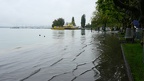 APictureADay20210801-098-03