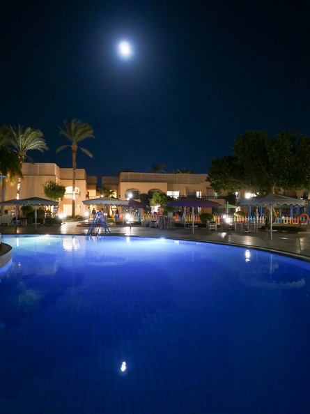 Egypte2021Pierre-04.jpg
