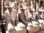 Egypte2021Pierre-15