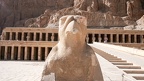 Egypte2021Pierre-43