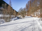 APictureADay20211231-127-11