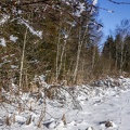 004-Le Gibloux 03