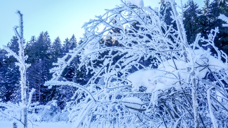 PhotosD1jour20220116-7.jpg