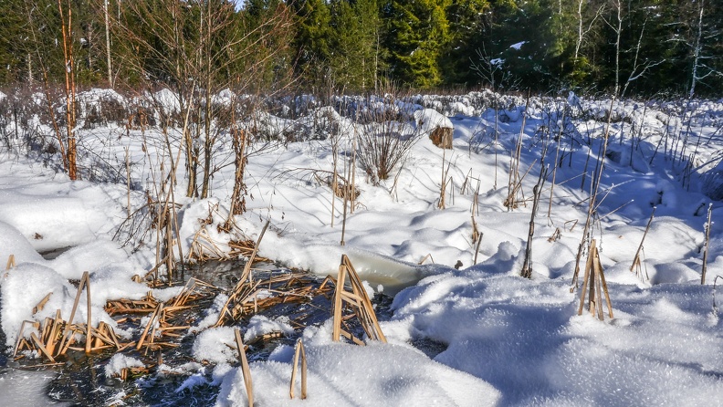 PhotosD1jour20220116-19.jpg