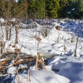 004-Le Gibloux 10