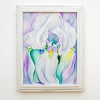 O'Keeffe - Bâle 2022/12 (2400 visits) White Iris, 1930, huile sur toile O'Keeffe - Bâle 2022/12