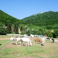 043-044Tirana01