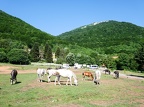 043-044Tirana01