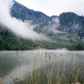 102Gosausee02