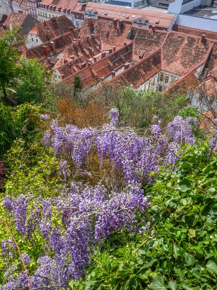 P1004659.jpg
