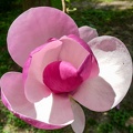 P1004794