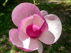 P1004794
