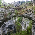 P1004988