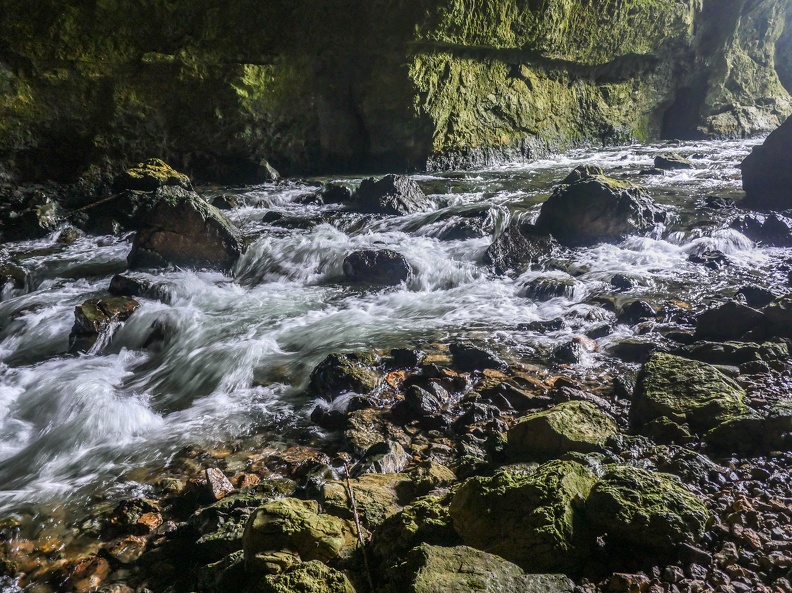 P1005011.jpg