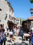 P1005764