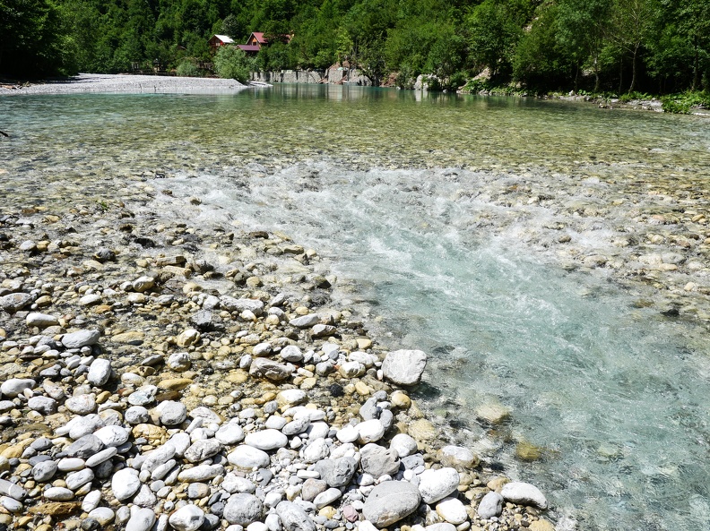 P1006450.jpg