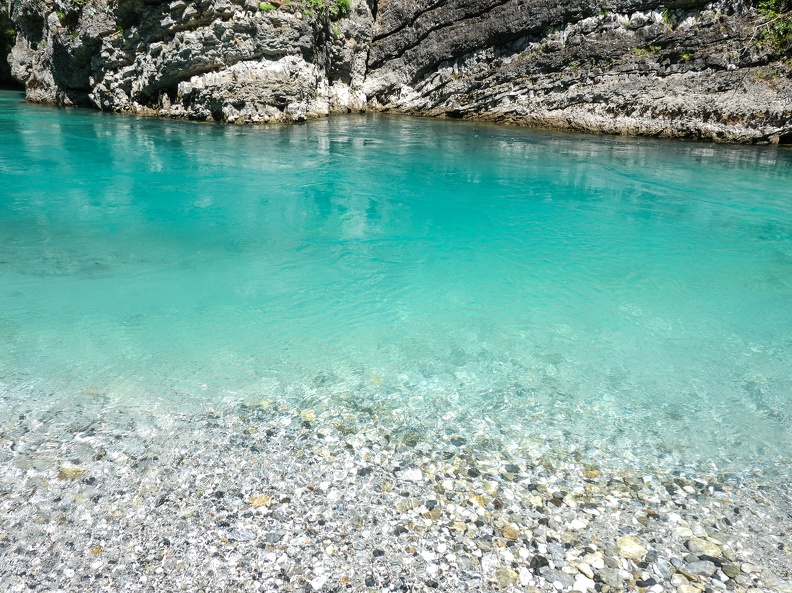 P1006451.jpg