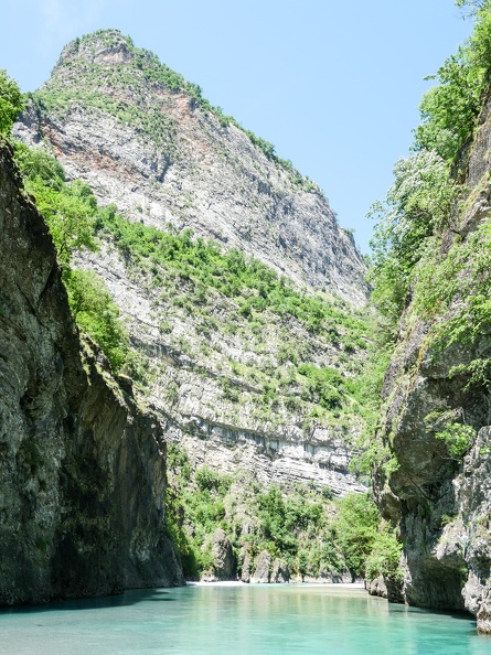P1006452.jpg