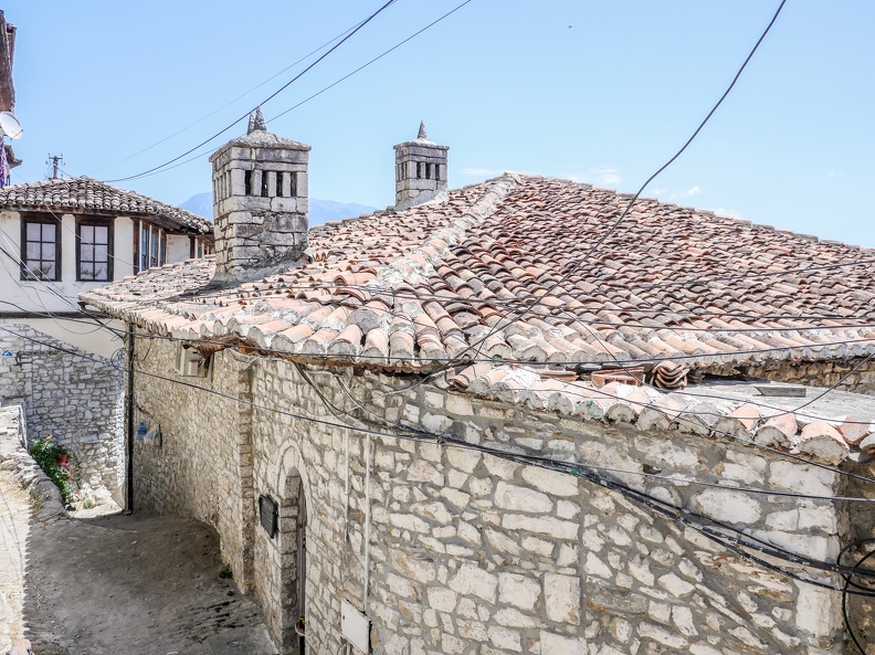 P1006687.jpg