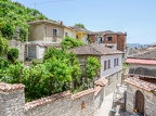 P1006711 (1606 visits) P1006711